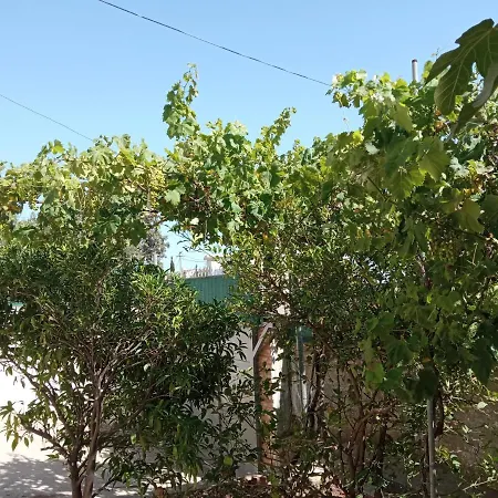 Sunset Viewhouse منزل للإقامة ديرمي