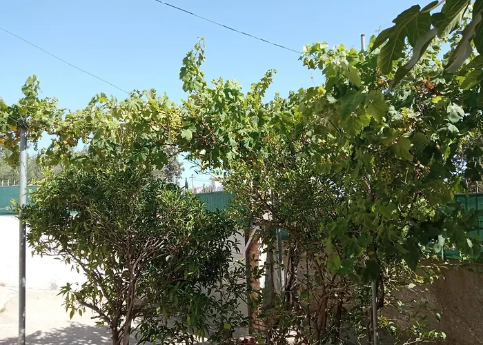 Sunset Viewhouse Pansiyon Dhërmi